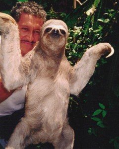 Top 10 Unusual Pets - Sloth