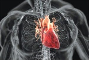 Top 10 Causes Of Death - The Number One Killer... Cardiovascular Disease